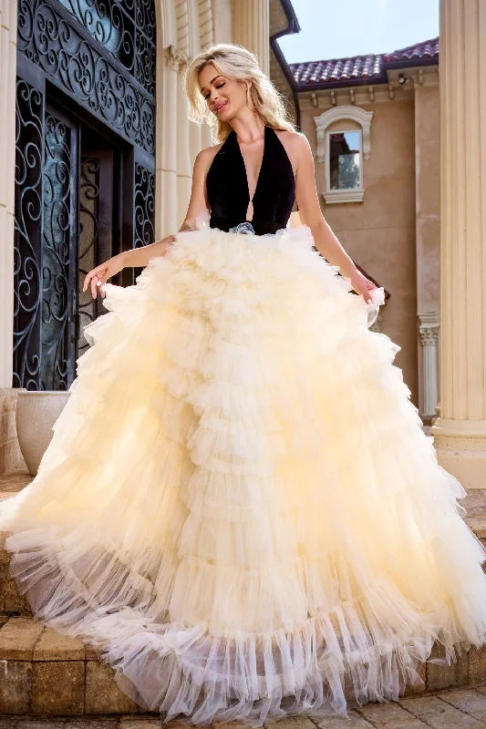 Reduced Prices Portia and Scarlett PS24681 Formal Feathered Long Prom Dress