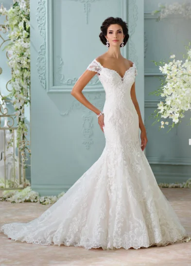 Mega Deal David Tutera 116201